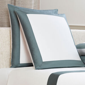 下降 2 Bold Euro Pillowcase